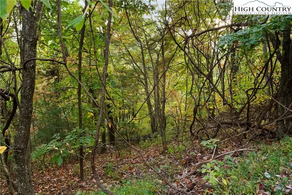 Lot 16 Little Ivy Lane, Deep Gap, NC 28618