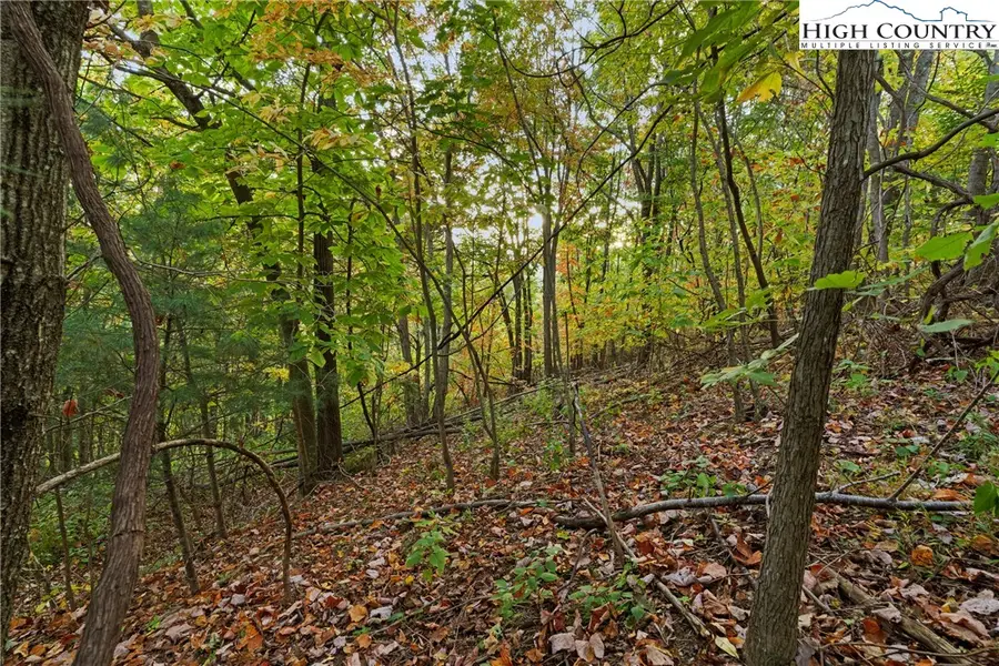 Lot 16 Little Ivy Lane, Deep Gap, NC 28618 - #3