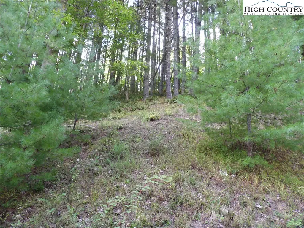 TBD Woodlands Drive, Piney Creek, NC 28663 - #1