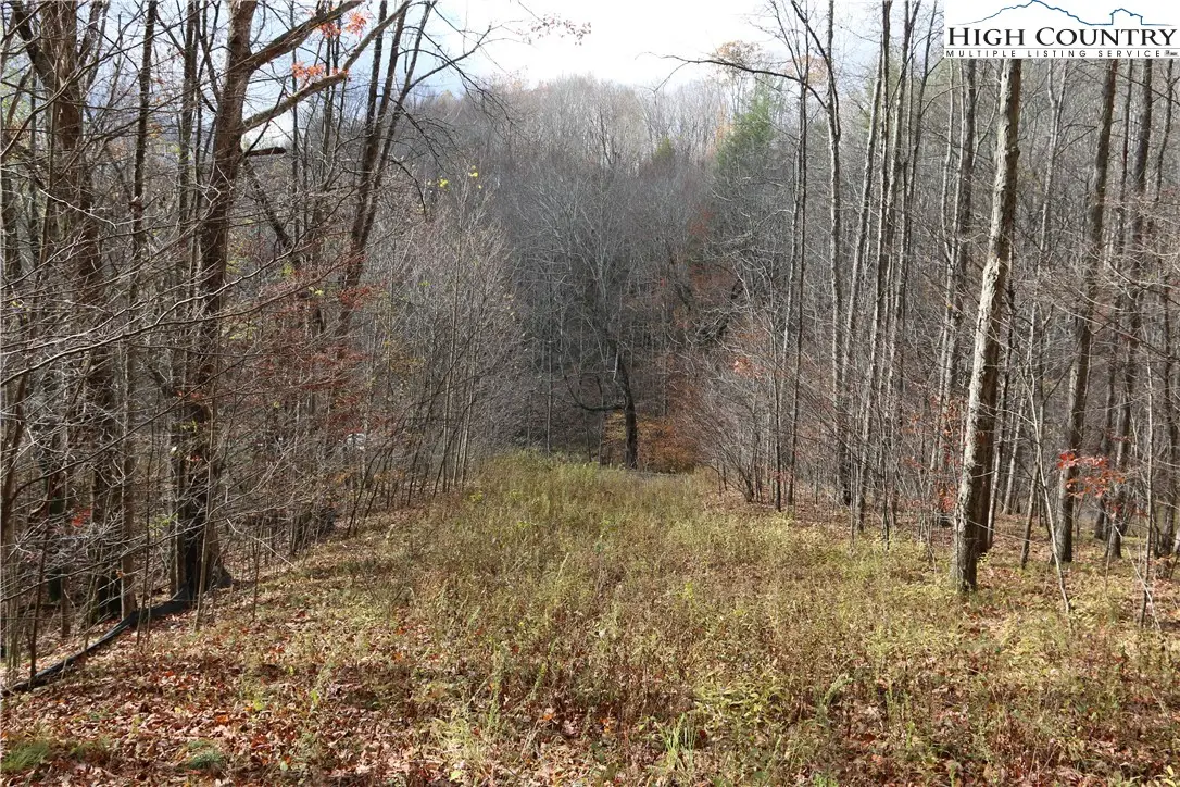 Lot 69 Paradise Valley Road, Creston, NC 28615 - Image #1