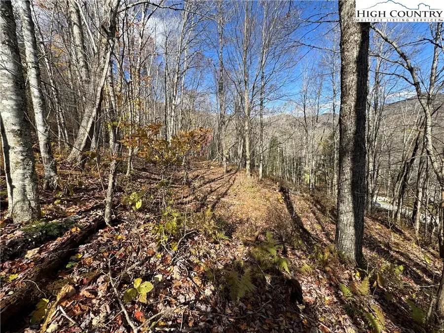 TBD Sugar Mountain #2 Road, Newland, NC 28657 - Image #3