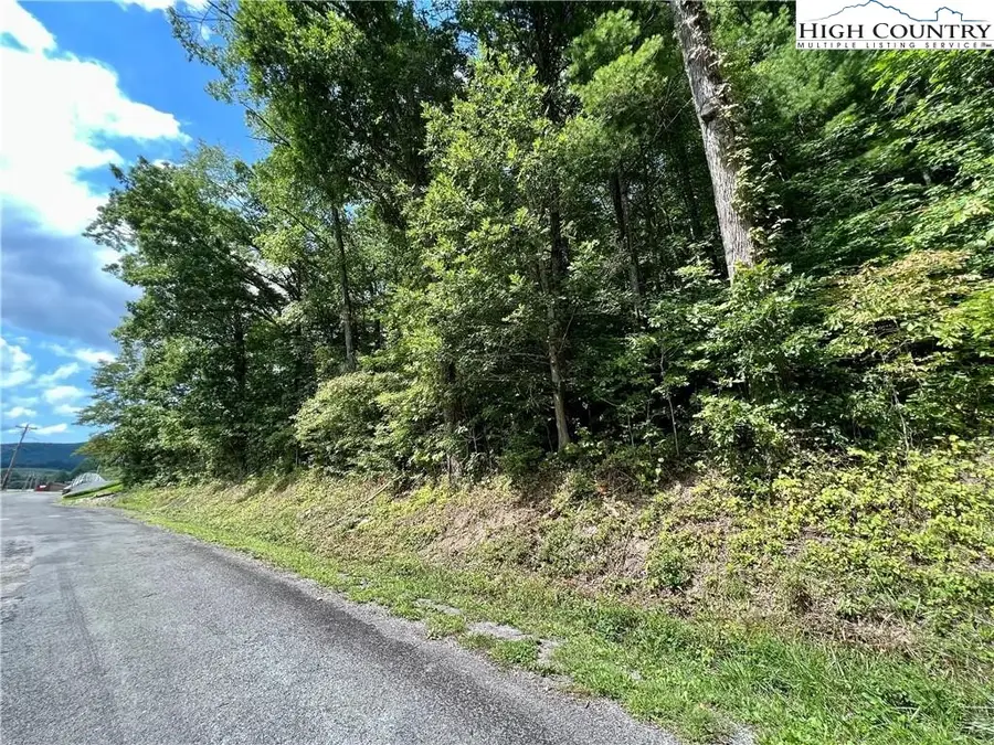 tbd Rhea Road, Mountain City, TN 37683 - Image #2