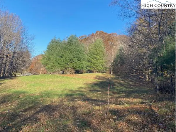 TBD Clarence Lyall Road, West Jefferson, NC 28694