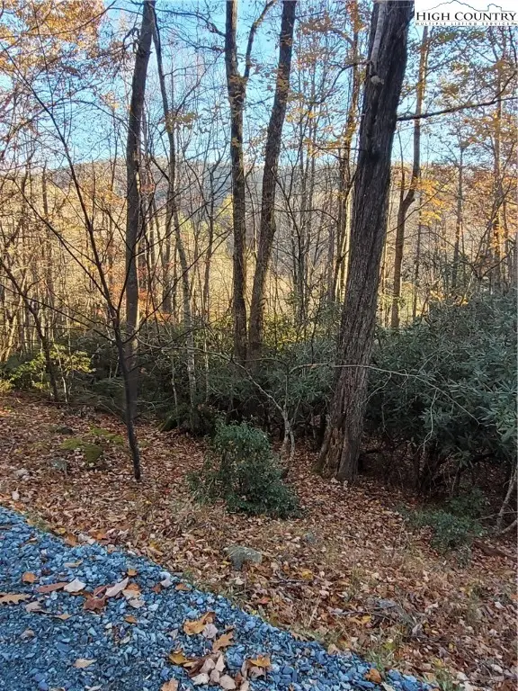 251 Poplar Drive, Beech Mountain, NC 28604 - Image #1