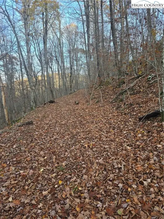TBD Junaluska Road, Boone, NC 28607 - Image #2