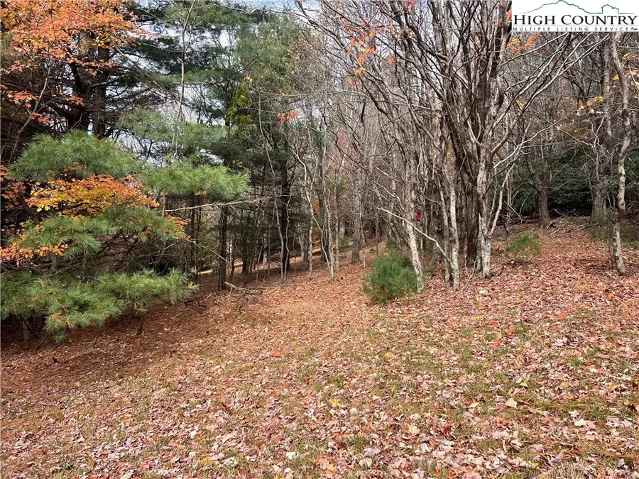 TBD Heritage Ridge Road, Boone, NC 28607 - Image #3