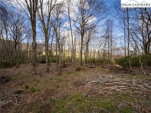 ES42 Firesong Lane, Banner Elk, NC 28604
