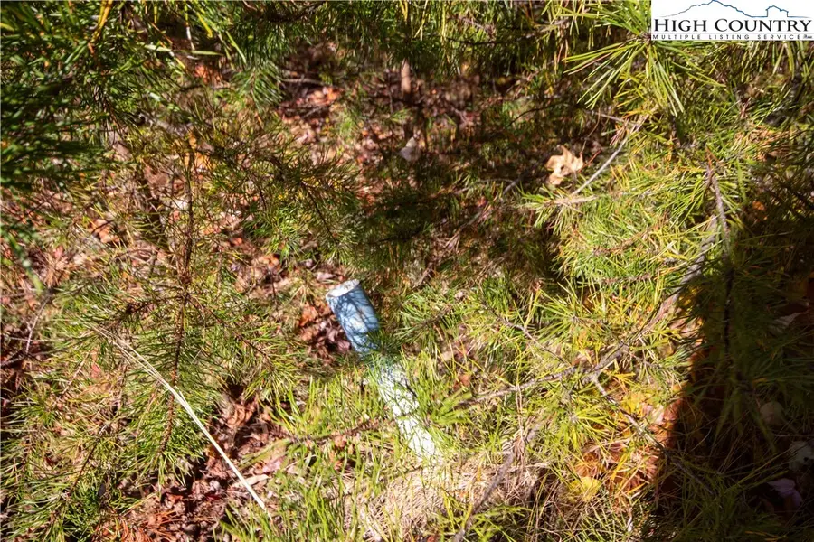 Lot# 4 Peregrine Terrace, Lenoir, NC 28645 - #2