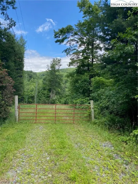 TBD Mountain View Road, Glade Valley, NC 28627 - Image #1