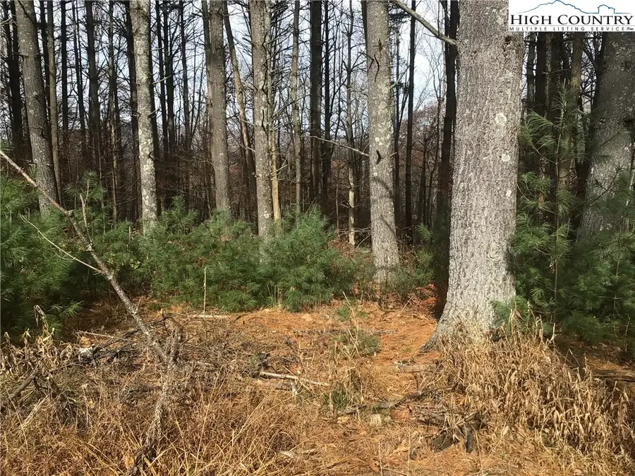 TBD Pine Springs Estates Road, Jefferson, NC 28640 - Image #2