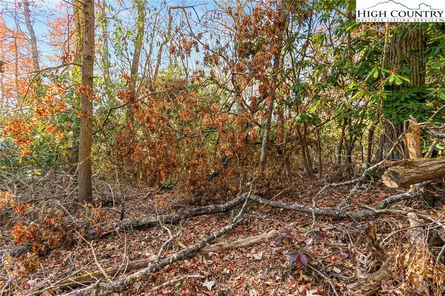 TBD Midway Road, Newland, NC 28657 - Image #2