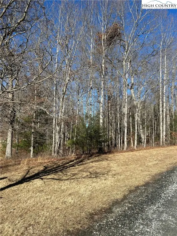 Lot 23 Bear Den Road, Sparta, NC 28675 - Image #1