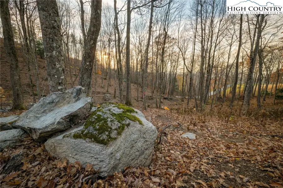 LV2 Old Laurel Lane, Elk Park, NC 28622 - Image #2