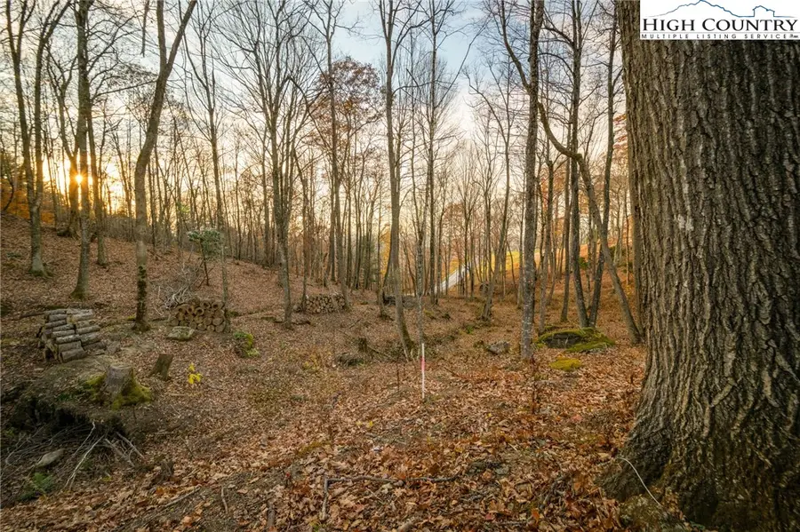 LV2 Old Laurel Lane, Elk Park, NC 28622 - Image #3