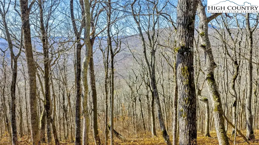 TBD ( lot 79) Elk Creek Mountain Parkway, Todd, NC 28684 - Image #2