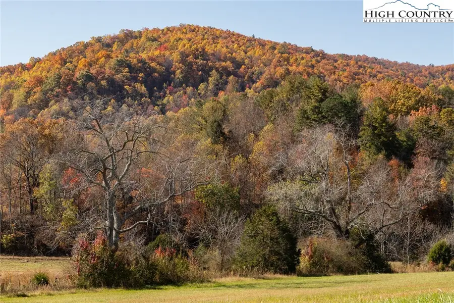 000 Antler Drive, McGrady, NC 28649 - #2