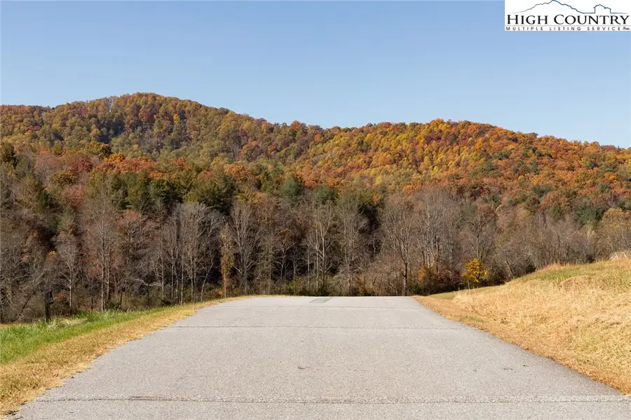 000 Antler Drive, McGrady, NC 28649 - #3