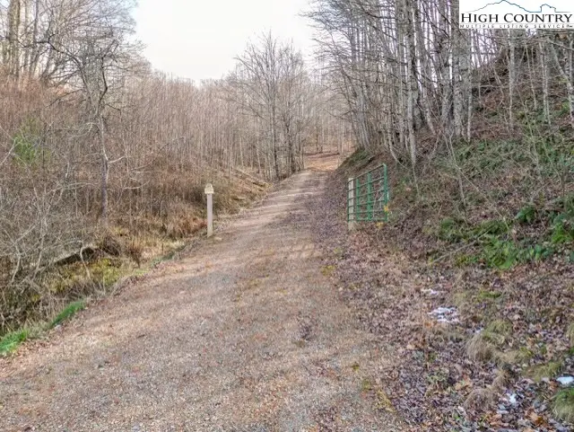 TBD Fred Wallace Road, Trade, TN 37691 - Image #1