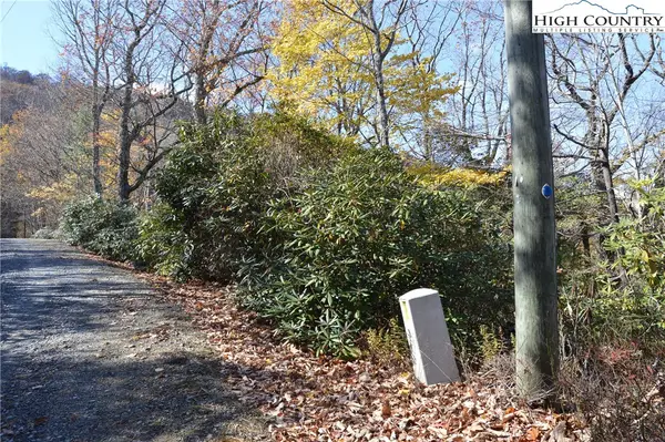 Lot #4 Roger's Green Mountain, Sparta, NC 28675