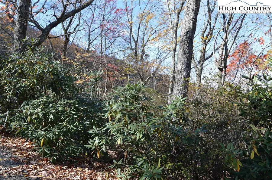 Lot #4 Roger's Green Mountain, Sparta, NC 28675 - Image #3