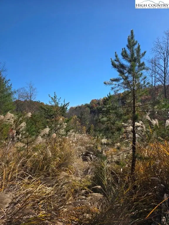 TBD Browntown Road, Millers Creek, NC 28651