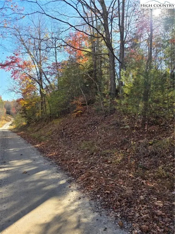 TBD Browntown Road, Millers Creek, NC 28651 - #3