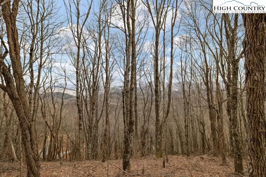 Lot 27 Glendale Place, Banner Elk, NC 28604 - #2