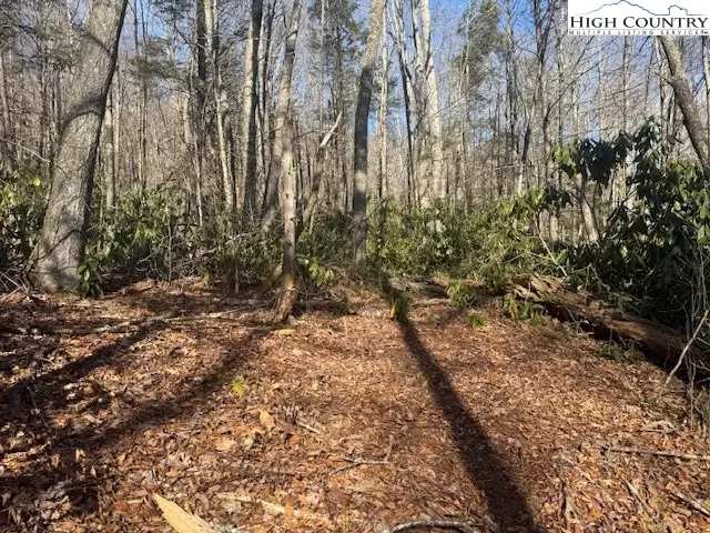 TBD Black Bear Trail, Blowing Rock, NC 28605 - #2