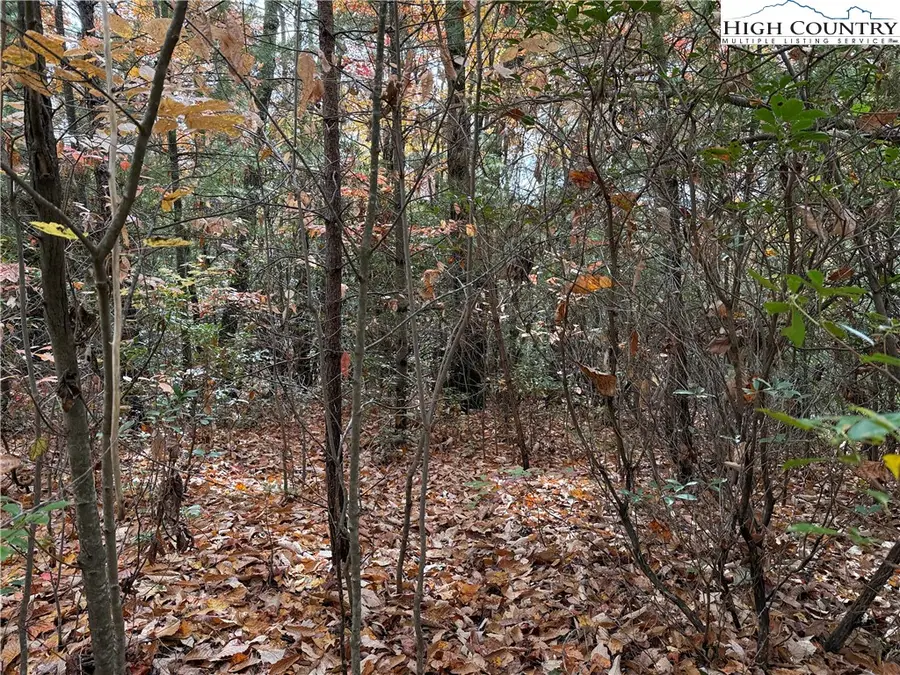 Lot 209 Casey Mountain Road, Purlear, NC 28665 - #3