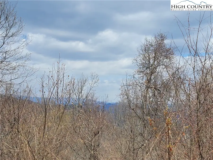 TBD (Lots 37&38) Granite Springs Trail, Jefferson, NC 28640 - Image #3