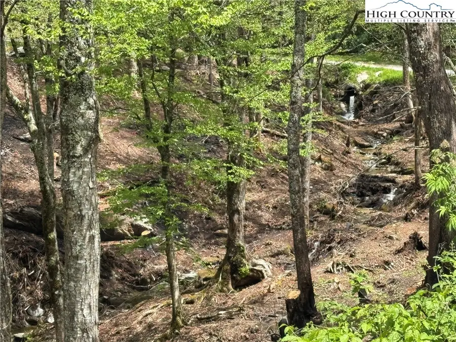 Lots 37 and 38 Snow Ridge Road, Banner Elk, NC 28604 - Image #2