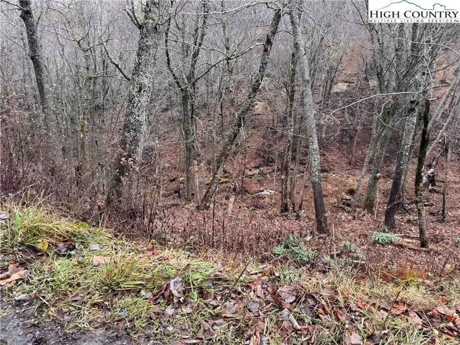 Lots 39 and 40 Snow Ridge Road, Banner Elk, NC 28604 - Image #2