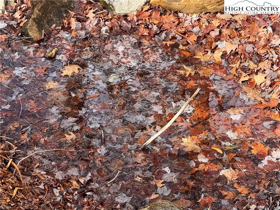 Lots 39 and 40 Snow Ridge Road, Banner Elk, NC 28604 - Image #3