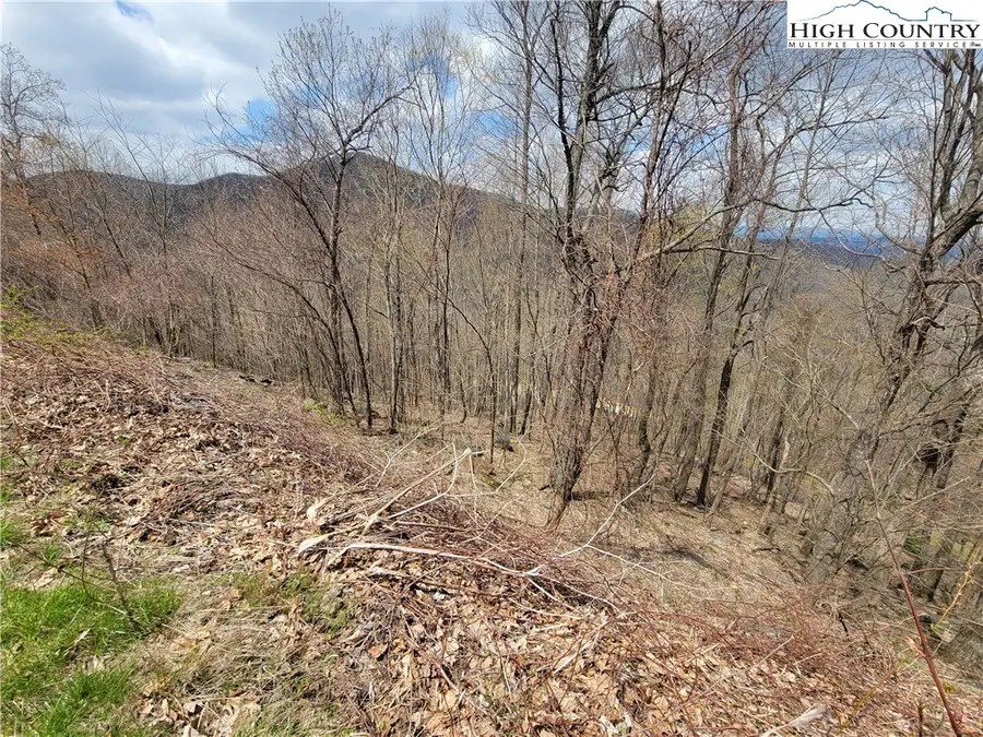TBD (Lot 38) Granite Springs Trail, Jefferson, NC 28640 - Image #3
