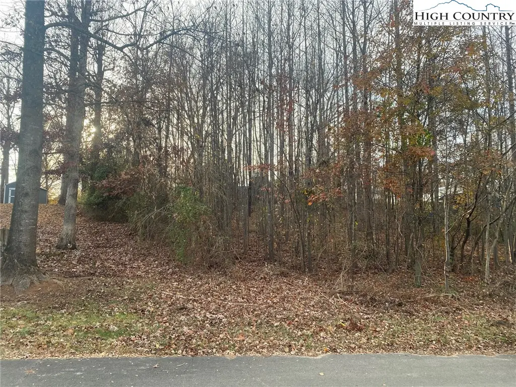 000 Meadow Lane Road, Hays, NC 28635 - #1