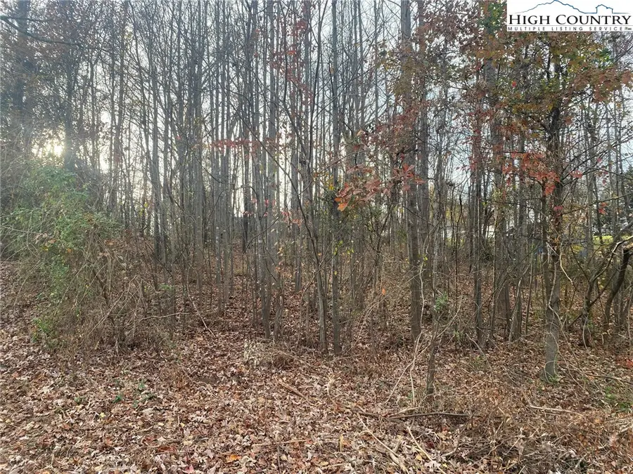 000 Meadow Lane Road, Hays, NC 28635 - #3