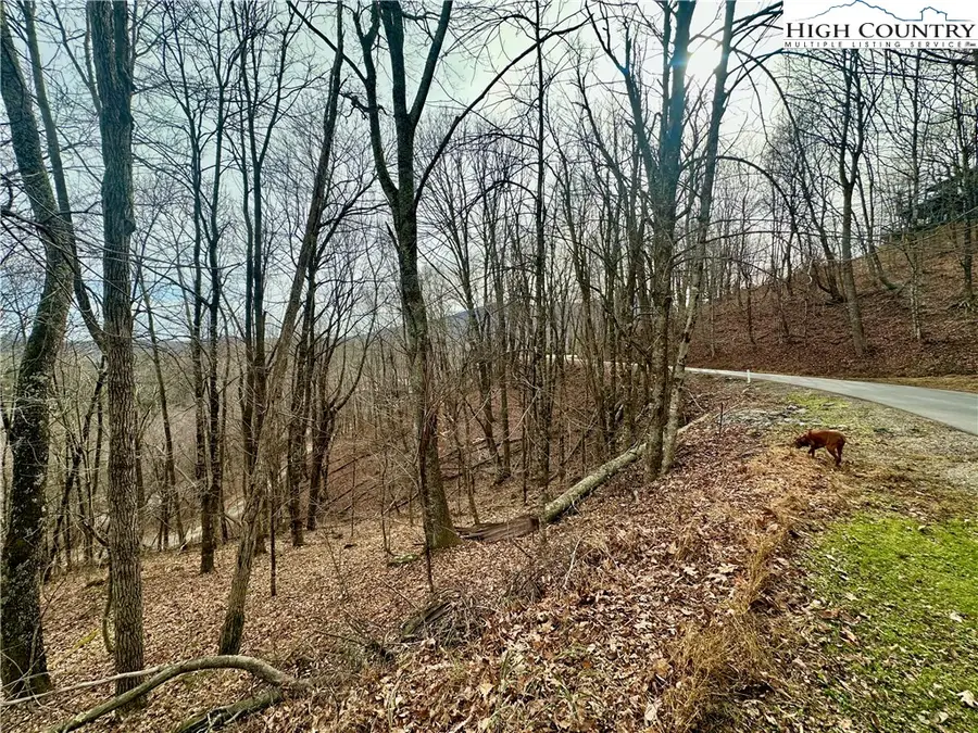 TBD Alpine Drive, Seven Devils, NC 28604 - Image #2