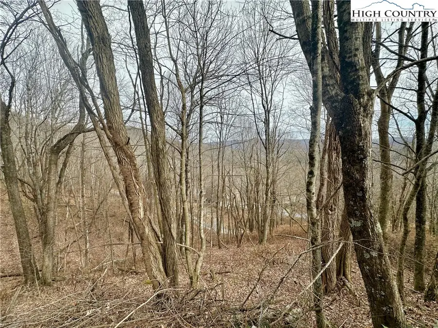 TBD Alpine Drive, Seven Devils, NC 28604 - Image #3