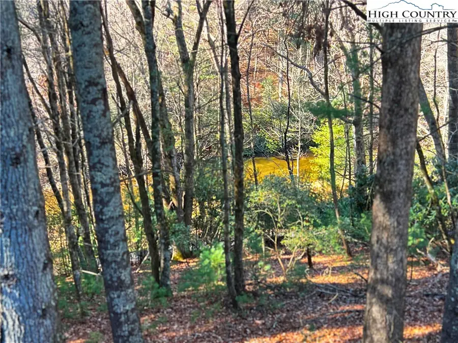 56 Buttons Lane, Sparta, NC 28675 - Image #3