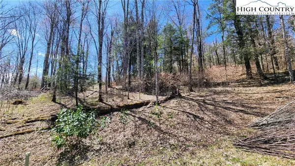 Lot 36 Running Bear Circle, Banner Elk, NC 28604
