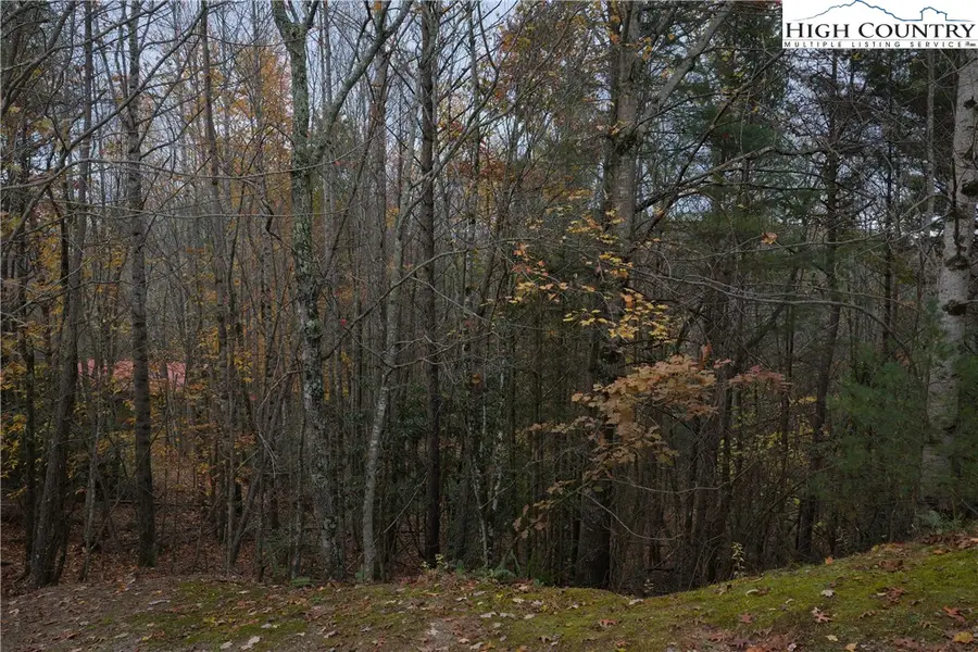 Lot 10 Talon Drive, Boone, NC 28607 - Image #2