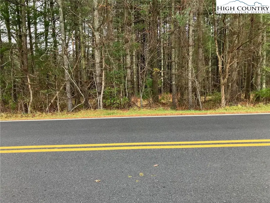 TBD Shawtown Road, Glade Valley, NC 28627 - #2