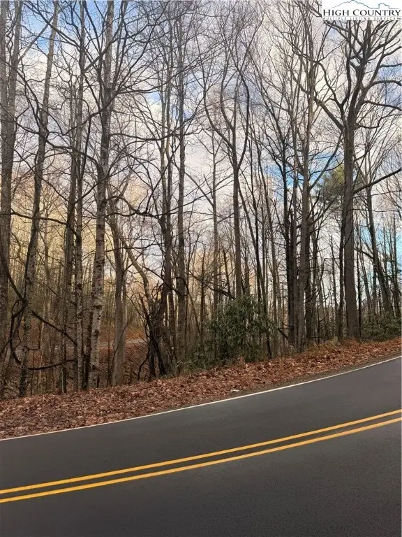 TBD Buckeye Creek Road, Beech Mountain, NC 28622 - #2
