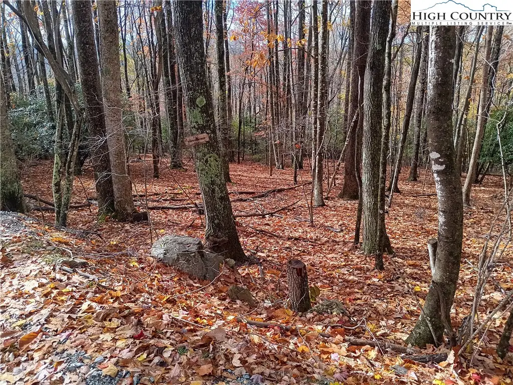 205 Rhododendron Drive, Beech Mountain, NC 28604 - Image #1