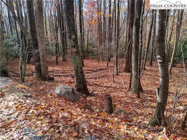 205 Rhododendron Drive, Beech Mountain, NC 28604