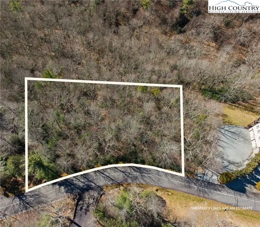 Lot 61 Boone Coffey Trail, Boone, NC 28607 - Image #3