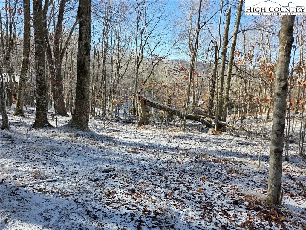 107 Spring Branch Road, Beech Mountain, NC 28604 - Image #1