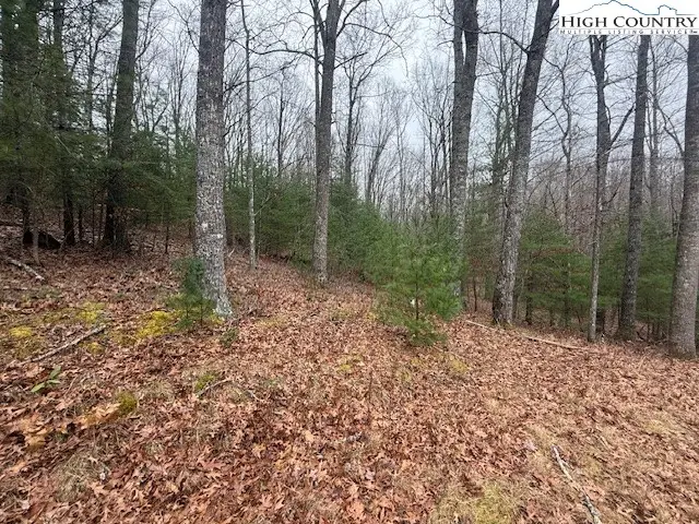 TBD Clearview Ridge, Crumpler, NC 28617 - Image #3