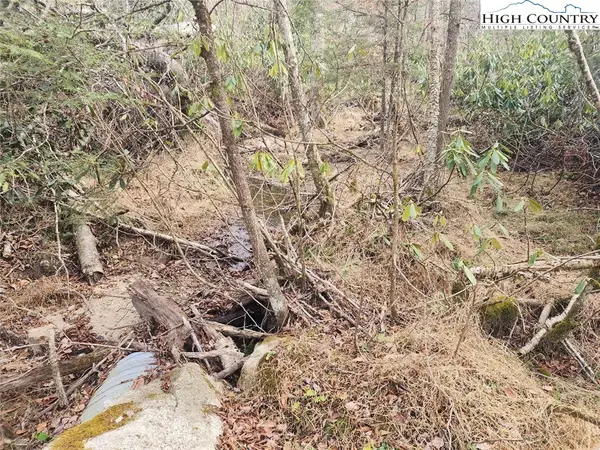 111 Willow Run, Beech Mountain, NC 28604