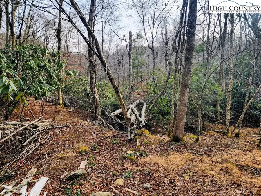 111 Willow Run, Beech Mountain, NC 28604 - Image #2